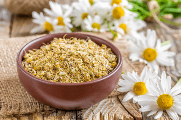 Decoction with adenoma